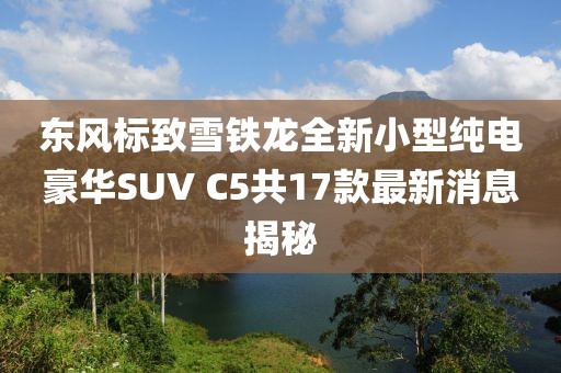 东风标致雪铁龙全新小型纯电豪华SUV C5共17款最新消息揭秘