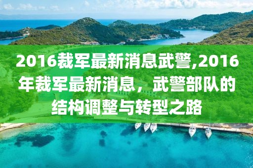 2016裁军最新消息武警,2016年裁军最新消息，武警部队的结构调整与转型之路