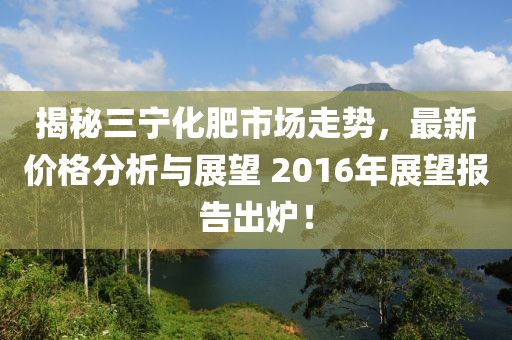 揭秘三宁化肥市场走势，最新价格分析与展望 2016年展望报告出炉！