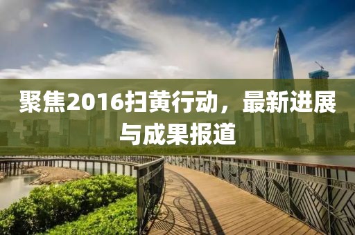 聚焦2016扫黄行动，最新进展与成果报道