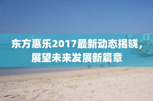 东方惠乐2017最新动态揭晓，展望未来发展新篇章