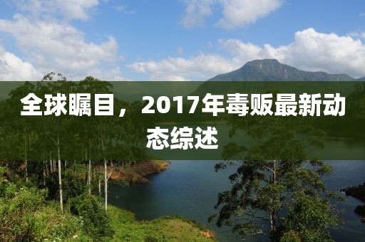 全球瞩目，2017年毒贩最新动态综述