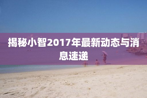 揭秘小智2017年最新动态与消息速递