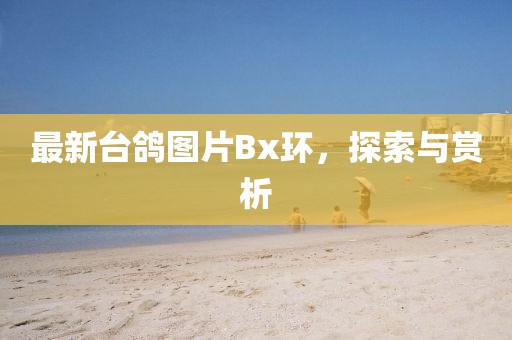 最新台鸽图片Bx环，探索与赏析