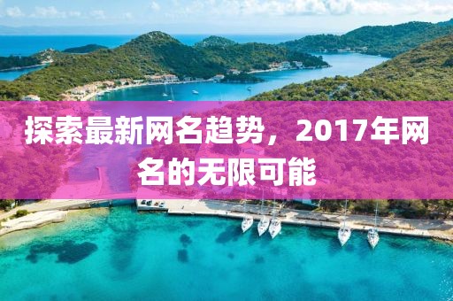 探索最新网名趋势，2017年网名的无限可能