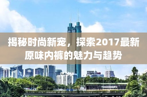 揭秘时尚新宠，探索2017最新原味内裤的魅力与趋势