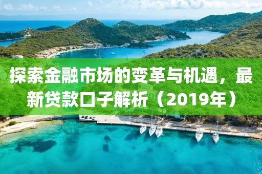 探索金融市场的变革与机遇，最新贷款口子解析（2019年）