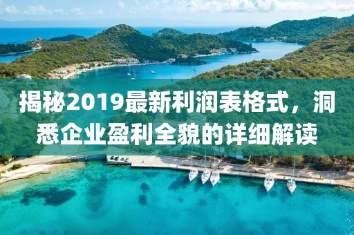 揭秘2019最新利润表格式，洞悉企业盈利全貌的详细解读