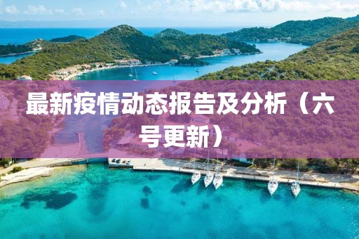 最新疫情动态报告及分析（六号更新）