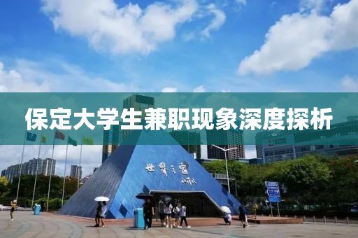 保定大学生兼职现象深度探析