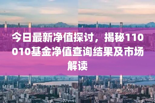 今日最新净值探讨，揭秘110010基金净值查询结果及市场解读